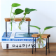 Glass Planter With Wooden Base